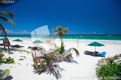 Image of Caribbean coast