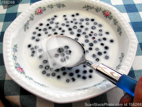 Image of Blueberry,milk and sugar