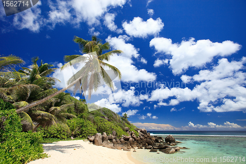 Image of Perfect beach in Seychelles