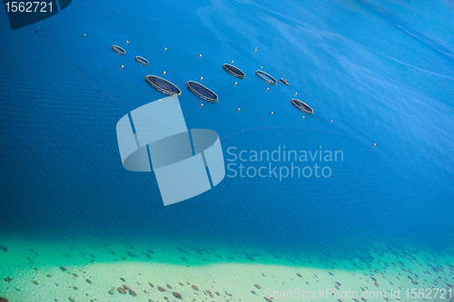 Image of Fish farm from above