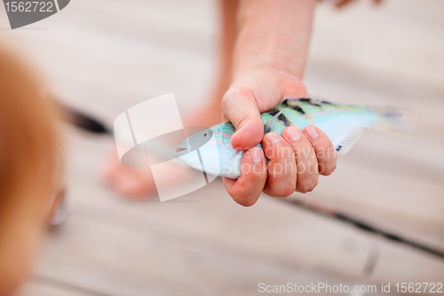 Image of Fisherman holding fish