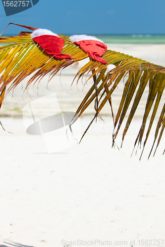 Image of Santa hats on palm leaf