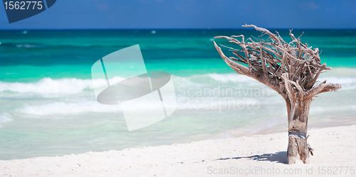 Image of Caribbean beach