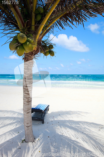 Image of Caribbean beach