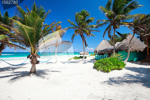 Image of Beautiful Caribbean beach