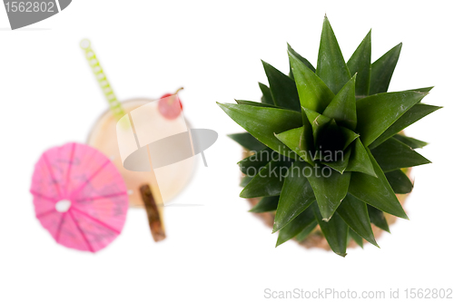 Image of Pineapple and Pina Colada Cocktail