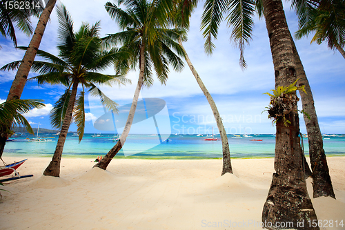 Image of Perfect tropical beach with palm trees