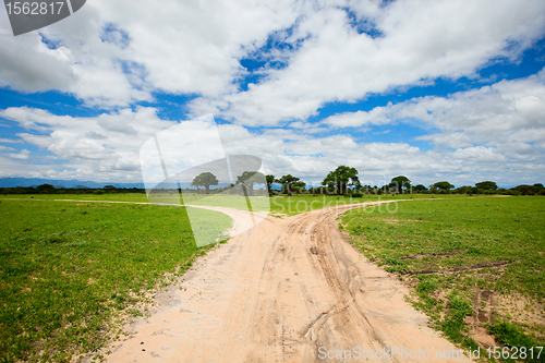 Image of Tarangire landscape in Tanzania