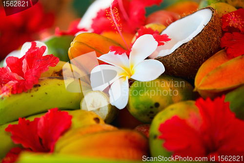 Image of Coconuts, fruits and tropical flowers