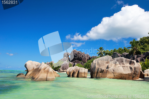 Image of Anse Source d Argent beach