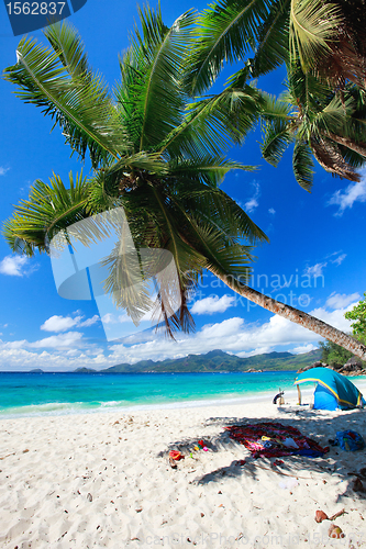 Image of Perfect beach in Seychelles