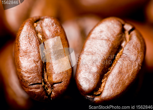 Image of Coffee beans