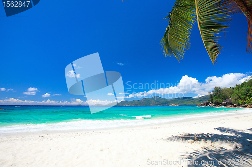Image of Perfect beach in Seychelles