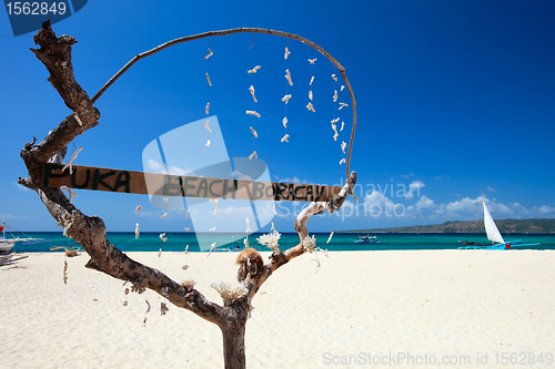 Image of Puka Shell beach