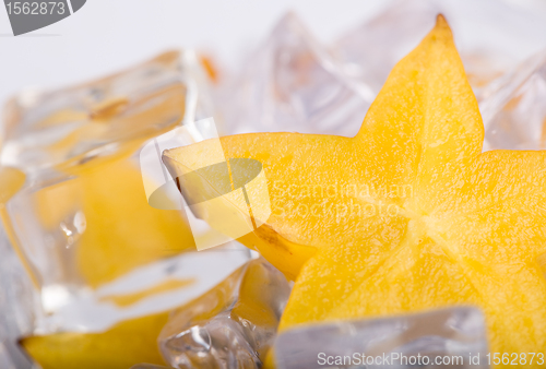 Image of Ice Stars