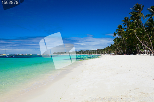 Image of Perfect exotic beach landscape