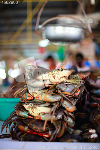 Image of Seafood market