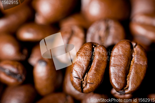 Image of Coffee beans