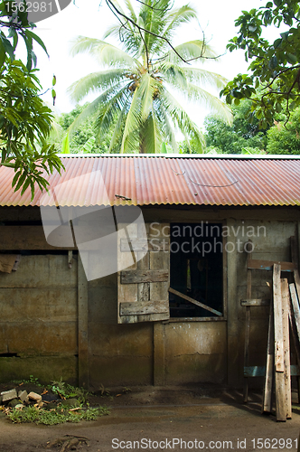 Image of house in jungle Big Corn Island Nicaragua