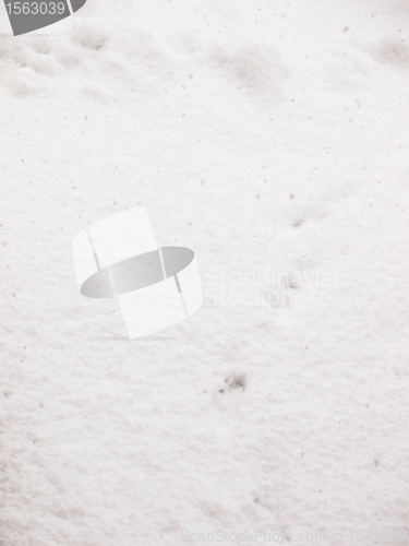 Image of White snow background