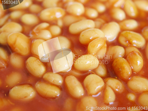 Image of Baked beans