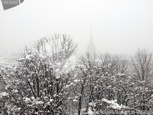 Image of Turin view