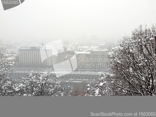 Image of Turin view