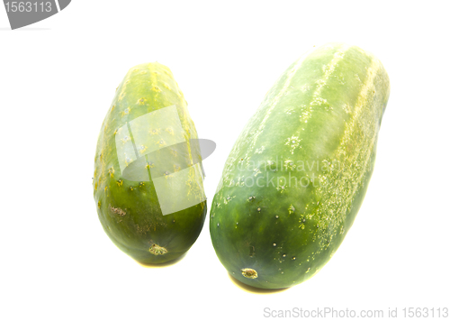Image of Couple green cucumber isolated on white background 