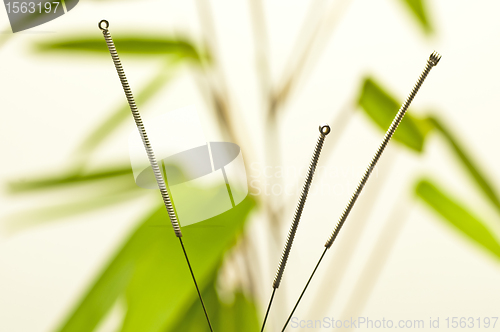 Image of acupuncture needle