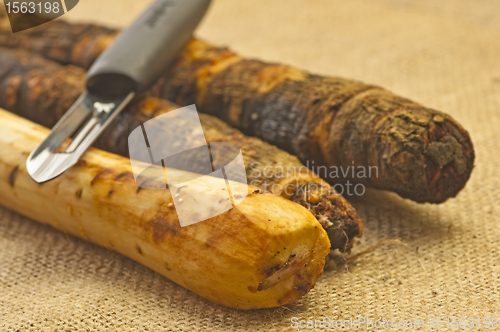 Image of black salsify