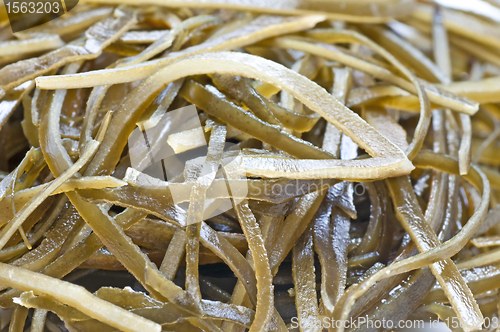 Image of seaweed 