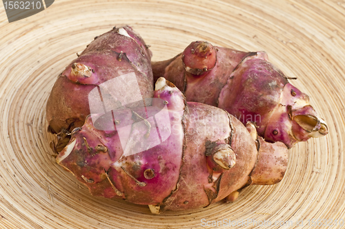 Image of Jerusalem artichoke