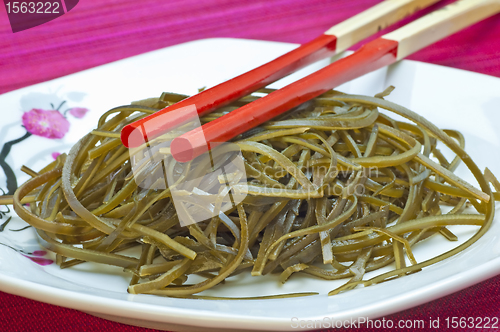 Image of seaweed 