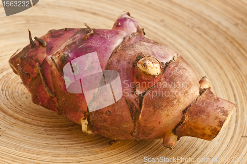 Image of Jerusalem artichoke