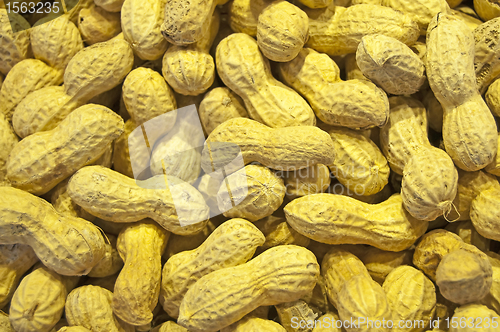 Image of peanut