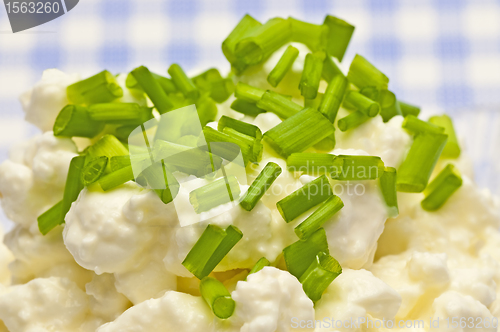 Image of cheese with fresh herbs
