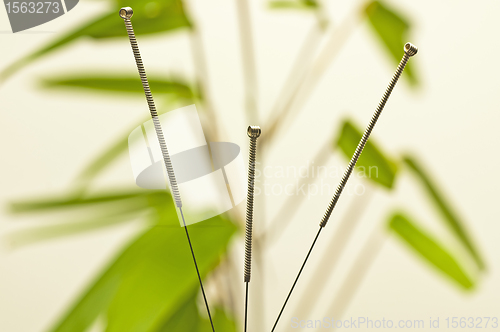 Image of acupuncture needle