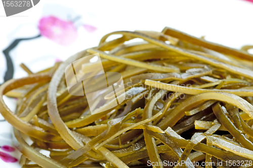 Image of seaweed 