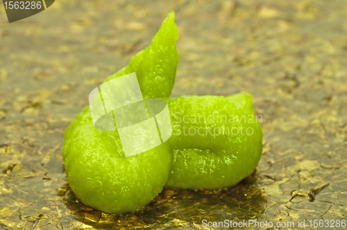 Image of Wasabi