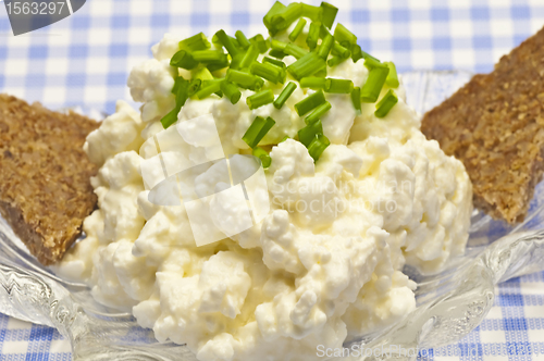 Image of cheese with fresh herbs