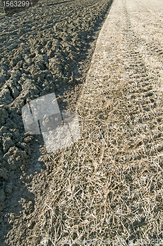 Image of acre with stubble field