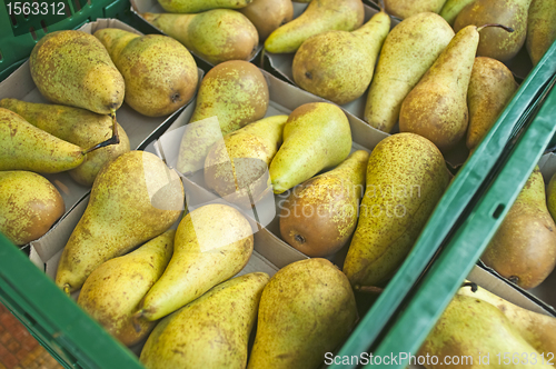 Image of pear 