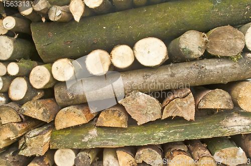 Image of fuel wood