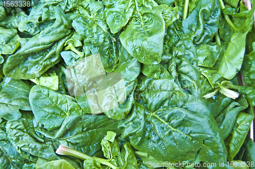 Image of spinach