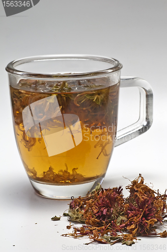 Image of Oswego tea