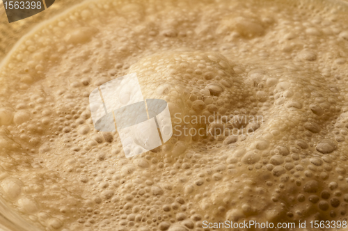 Image of yeast