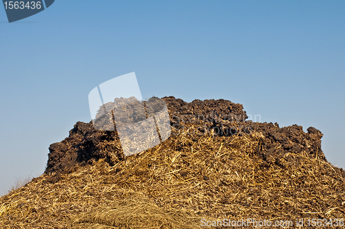 Image of dung hill