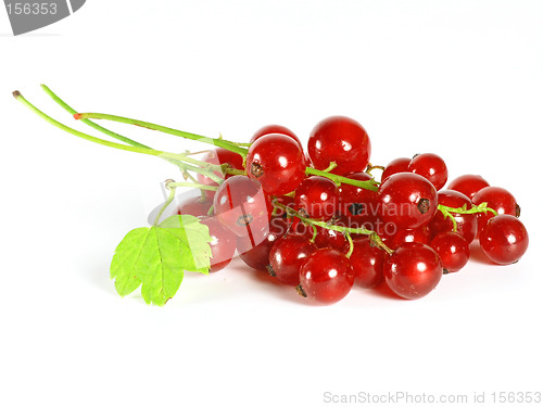 Image of summer fruits: Redcurrant