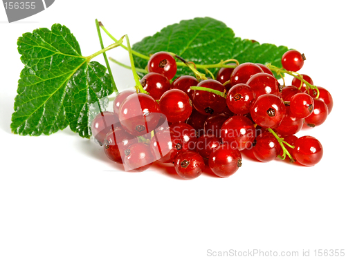 Image of summer fruits: Redcurrant