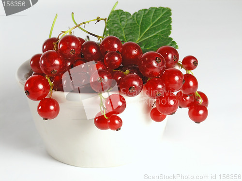 Image of summer fruits: Redcurrant